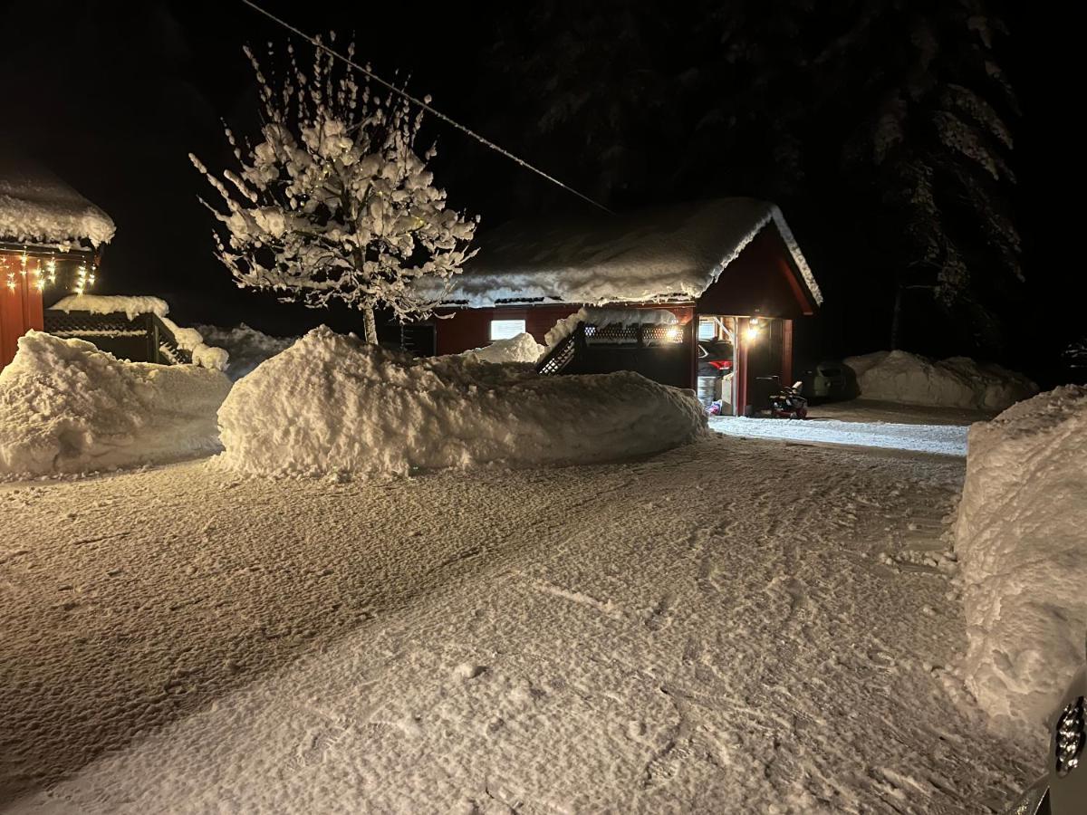 Oggevatn Daire Birkenes Dış mekan fotoğraf