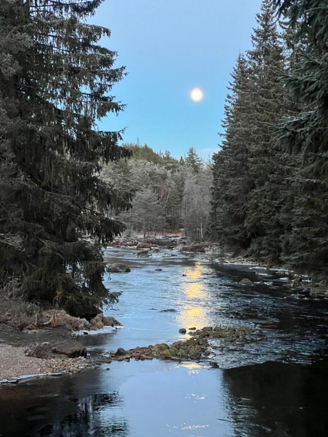 Oggevatn Daire Birkenes Dış mekan fotoğraf
